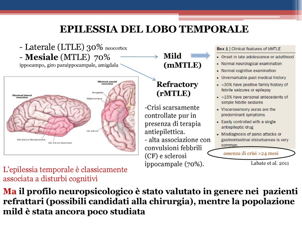 S Giannoni C Pizzanelli C Pagni Fs Giorgi Ppt Scaricare